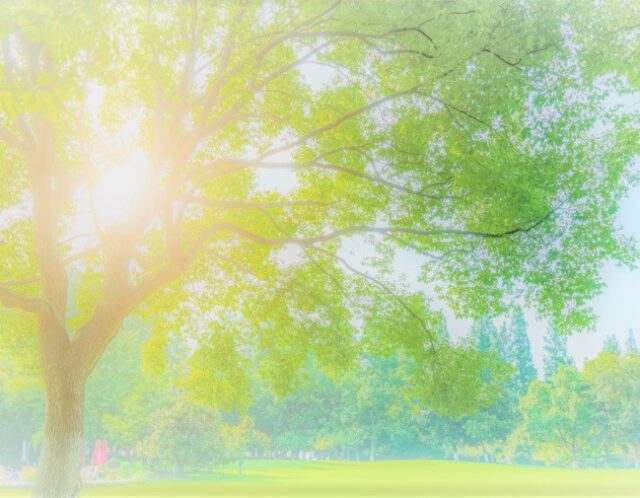 7/30はオンラインのみの開催に変更しました