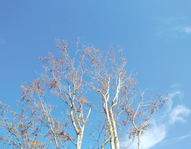 骨盤にまつわる不調について