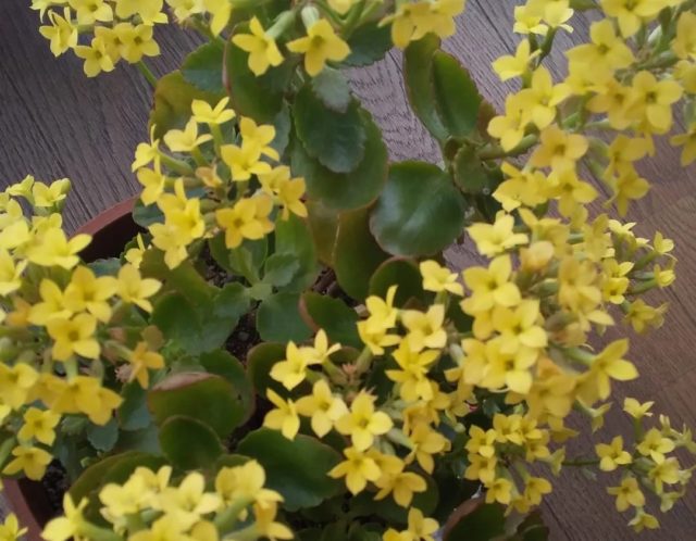 身体の変化　その2