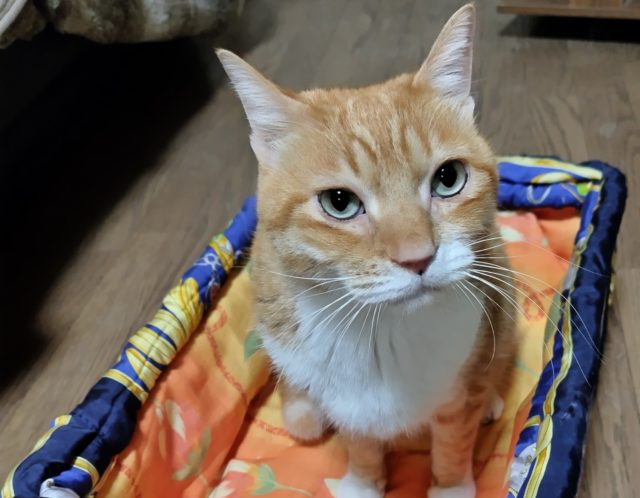 自分の身体を知ること