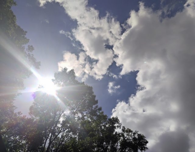 11月までのお教室開催予定をアップしました